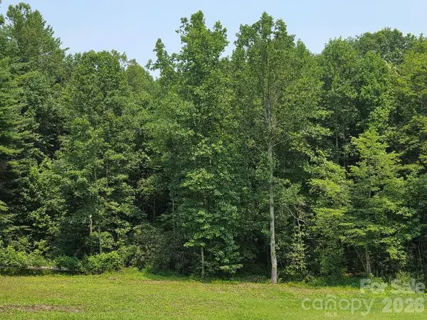 Lot 4 Appalachian Retreat None, Spruce Pine, NC 28777