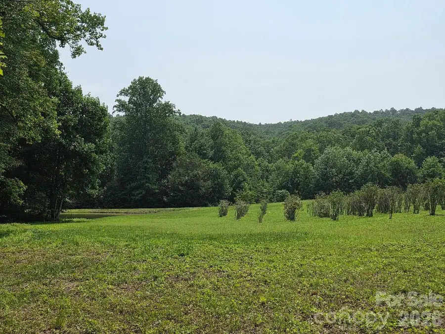 Lot 4 Appalachian Retreat None, Spruce Pine, NC 28777 - #3