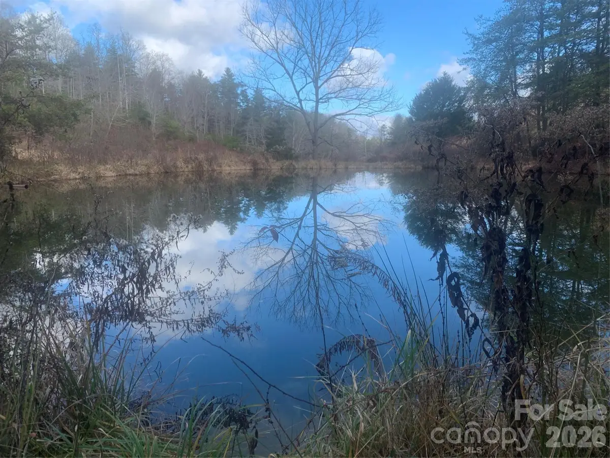 99999 Rocking Chair Lane, Leicester, NC 28748 - #1