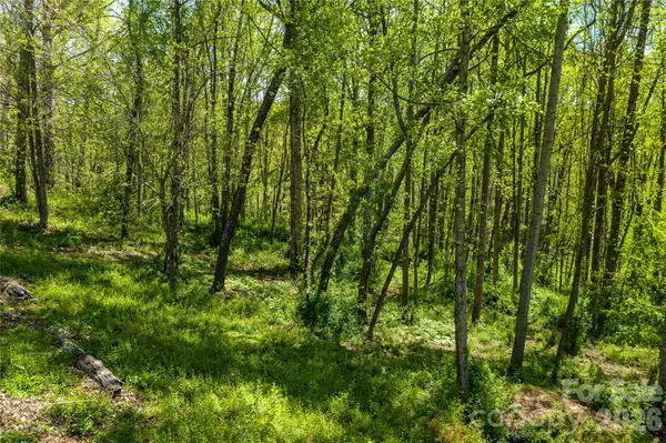 9999 Bee Balm Way #55, Asheville, NC 28804