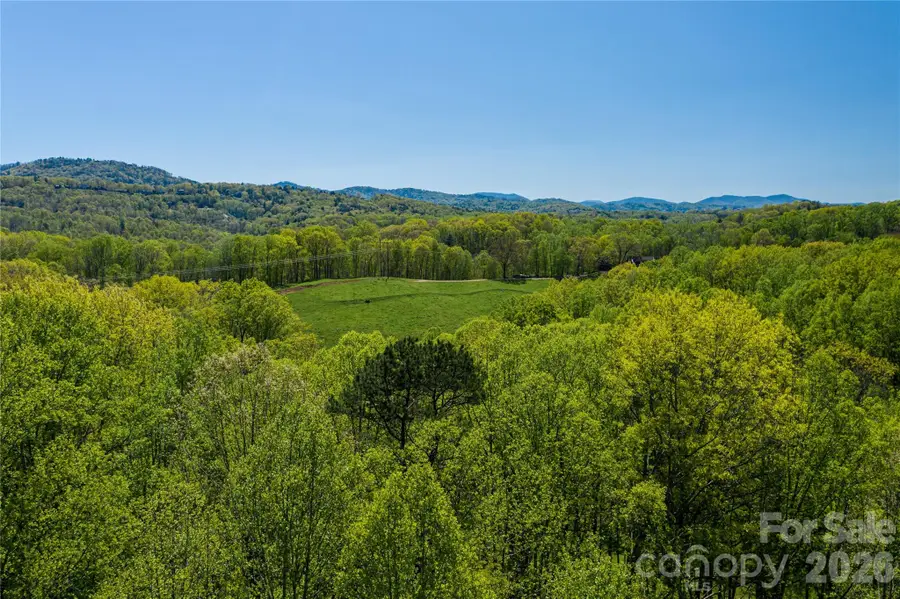 9999 Bee Balm Way #55, Asheville, NC 28804 - #3