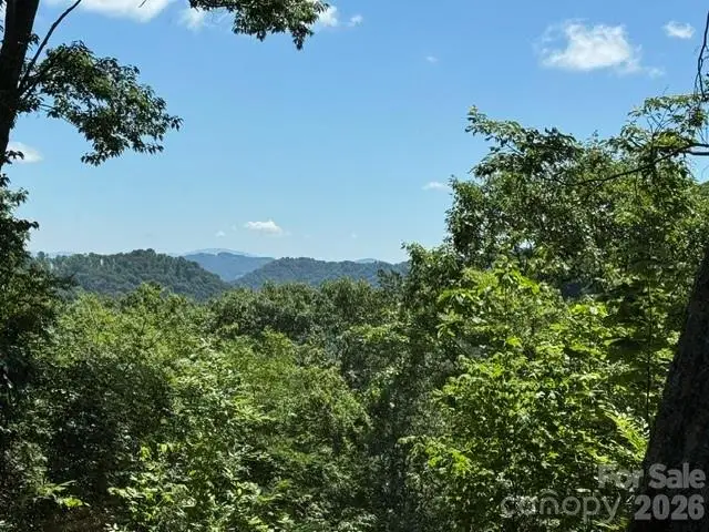 673 Chestnut Lane, Mars Hill, NC 28754 - #2
