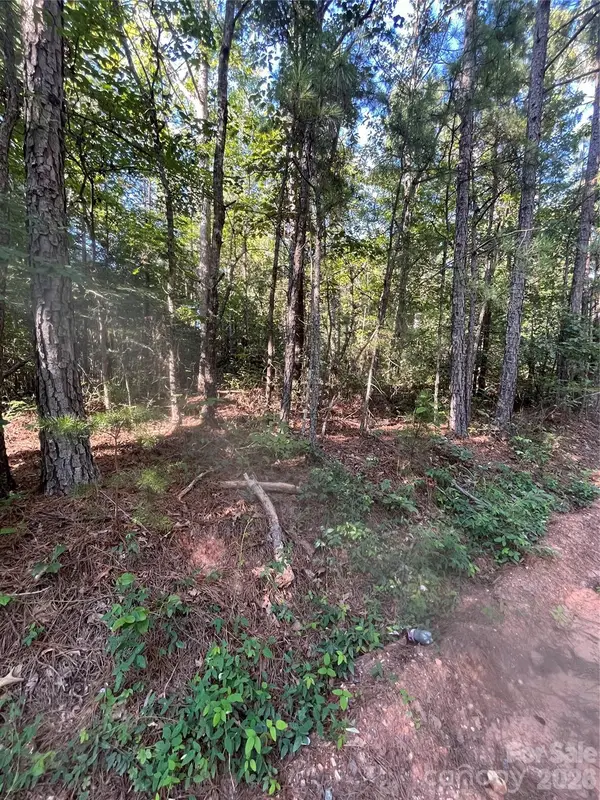 0 Ore Bank Road #4, Smyrna, SC 29743