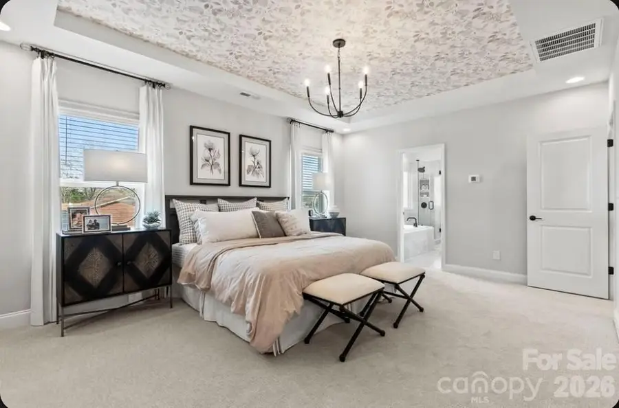 195 Goorawing Lane, Mooresville, NC 28115 - #3