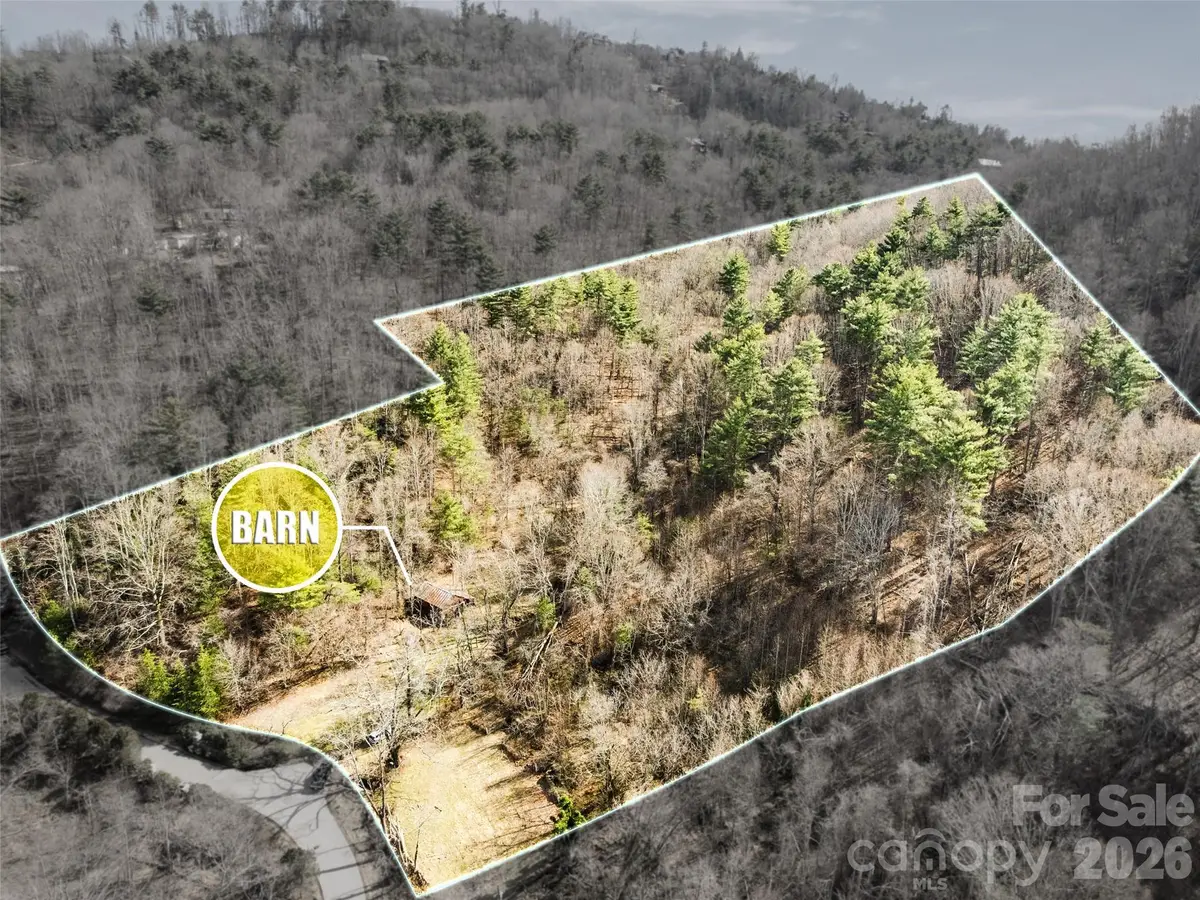 401 Baird Cove Road, Asheville, NC 28804 - #1