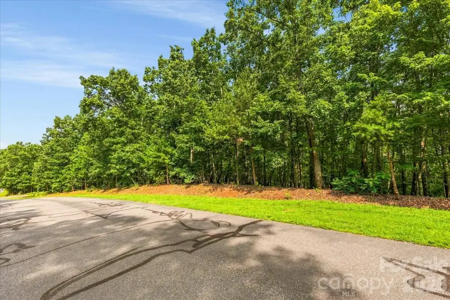 149 Mossy Oak Trail #167, Nebo, NC 28761 - #2