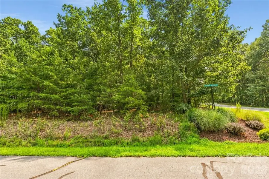 149 Mossy Oak Trail #167, Nebo, NC 28761 - #3