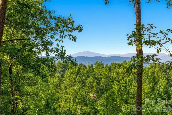 207 Mossy Oak Trail #166, Nebo, NC 28761