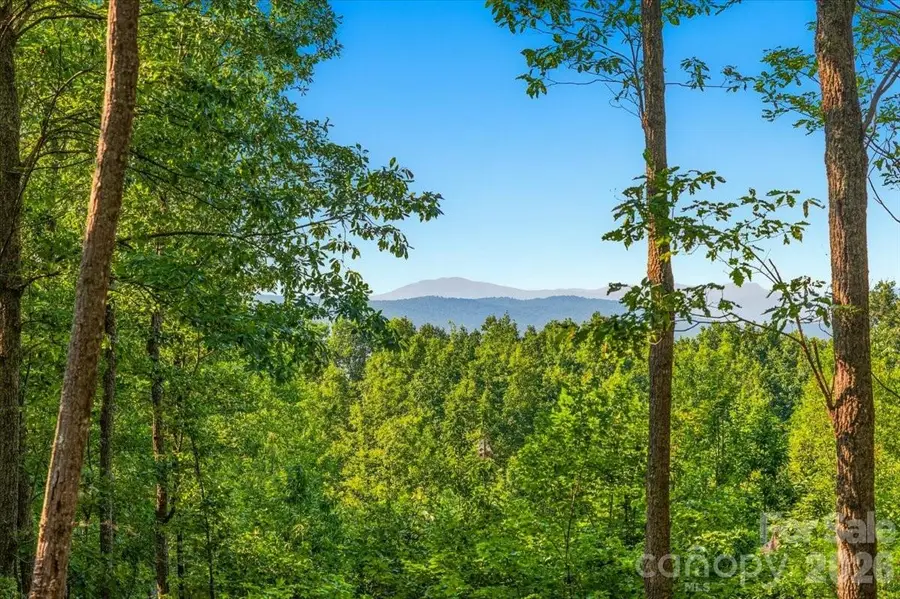 207 Mossy Oak Trail #166, Nebo, NC 28761 - #2