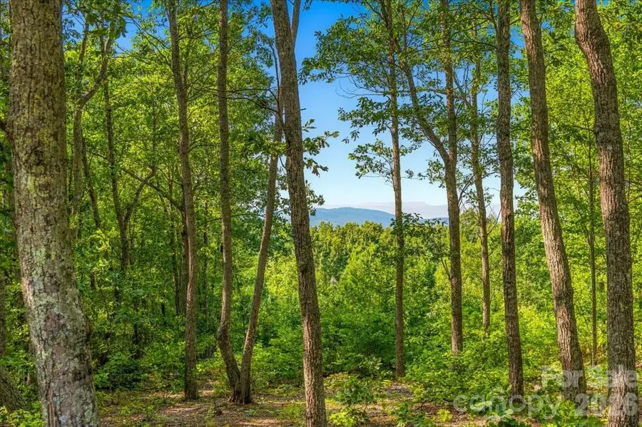 207 Mossy Oak Trail #166, Nebo, NC 28761 - #3