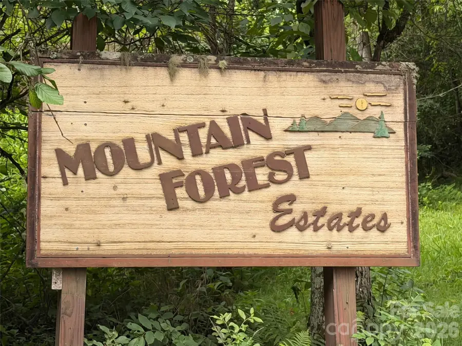 475 Mountain Forest Estate, Sylva, NC 28779 - #2
