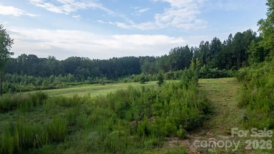 000 Hill Road, Lincolnton, NC 28092 - #3