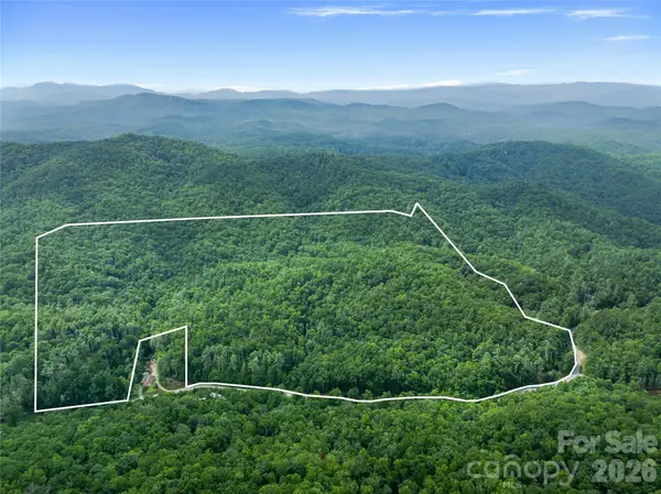 0 Frozen Creek Road, Brevard, NC 28712
