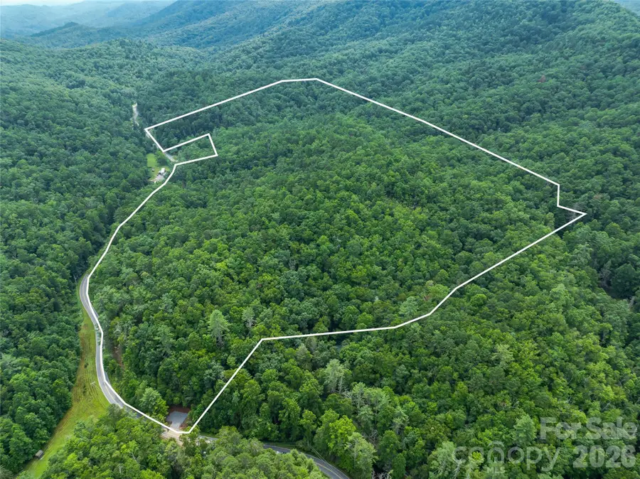 0 Frozen Creek Road, Brevard, NC 28712 - #2