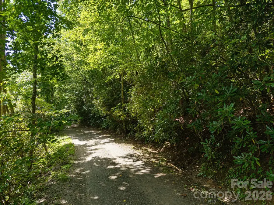 23.53 Acres Ballard Creek Road, Fairview, NC 28730 - #2