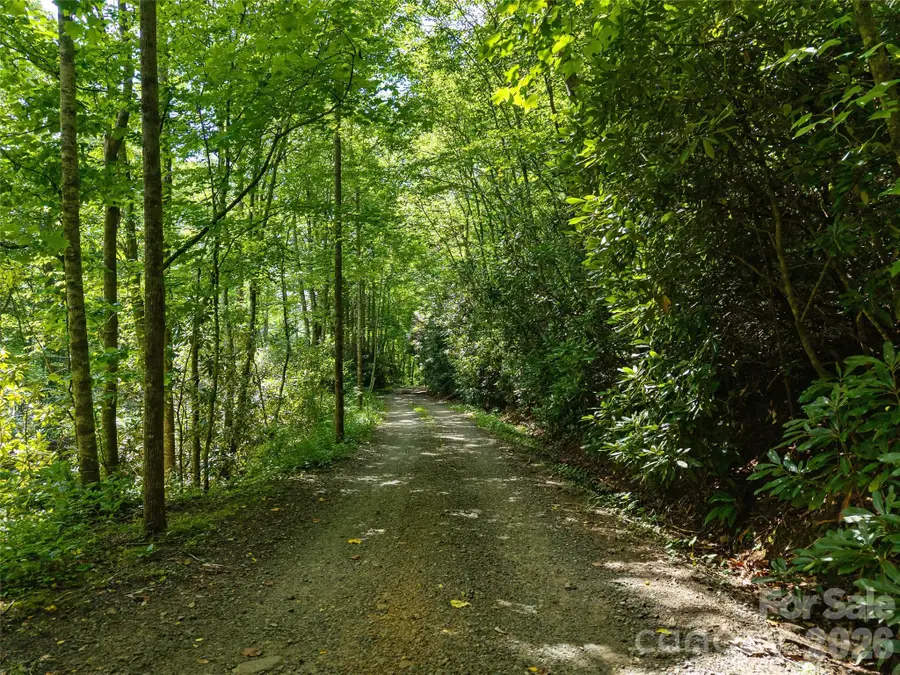 23.53 Acres Ballard Creek Road, Fairview, NC 28730 - #3