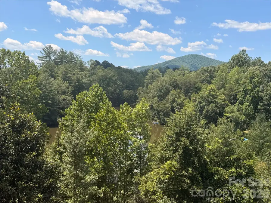 4991 Albert Williams Road W, Connelly Springs, NC 28612 - #3