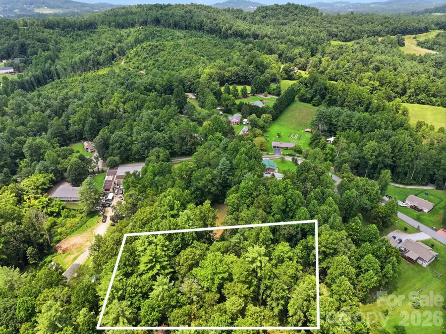 Lot 2 Chestnut Stump Road, Hendersonville, NC 28792 - #3