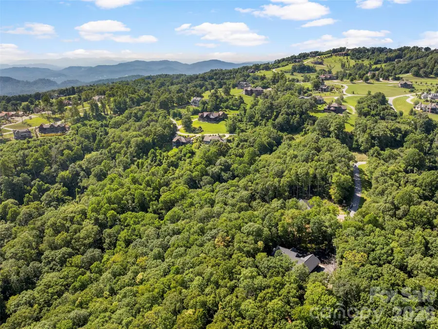 80 Maple Grove Court, Hendersonville, NC 28792 - #2