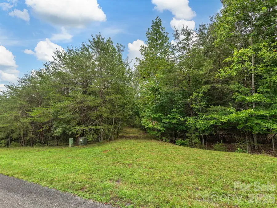 Lot #28 Parkway North Road #28, Mill Spring, NC 28756 - #3