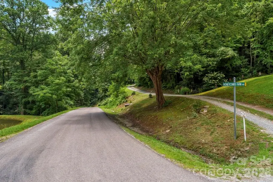 tbd Council Ward Road, Sugar Grove, NC 28679 - #2
