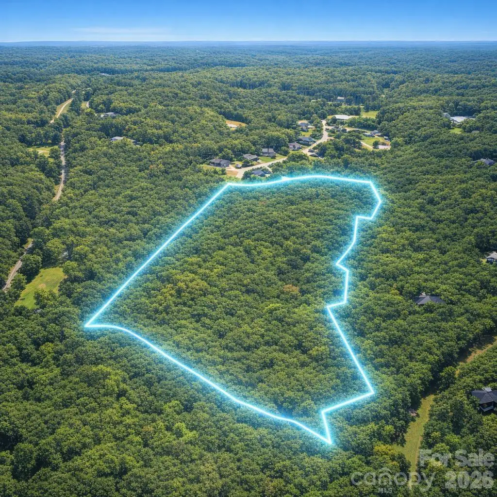 25 Ac Brandon Road, Clover, SC 29710 - #1