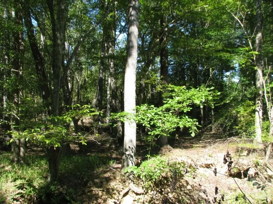 25 Ac Brandon Road, Clover, SC 29710 - #3