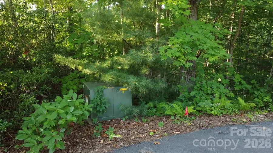 0000 Havens Creek Road #4, Black Mountain, NC 28711 - #3