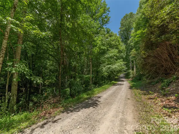 00 Rough Knob Road, Clyde, NC 28721
