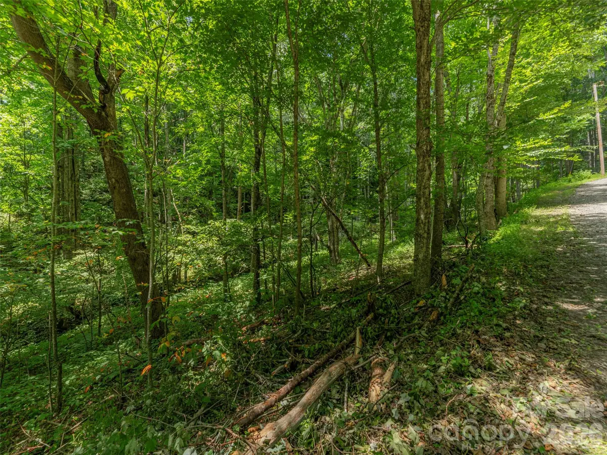 000 Rough Knob Road, Clyde, NC 28721 - #1