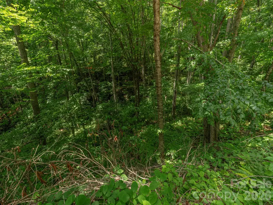 000 Rough Knob Road, Clyde, NC 28721 - #2