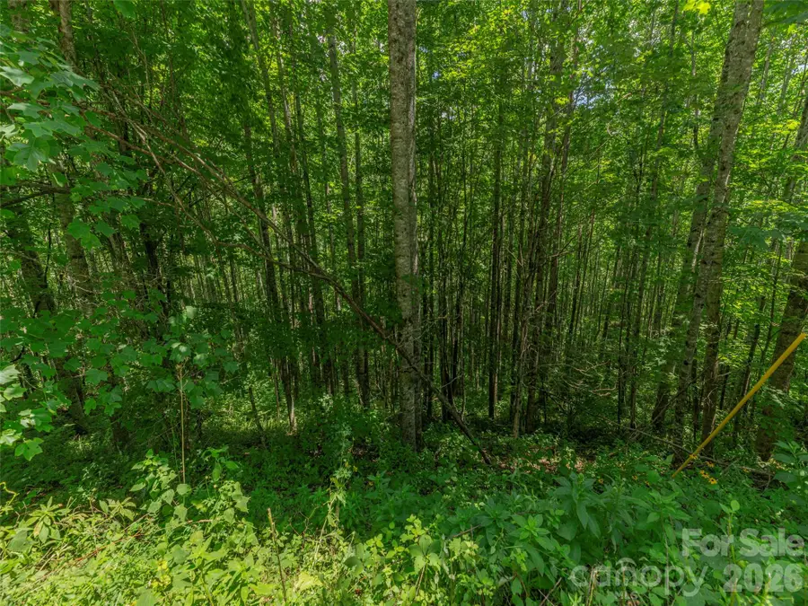000 Rough Knob Road, Clyde, NC 28721 - #3