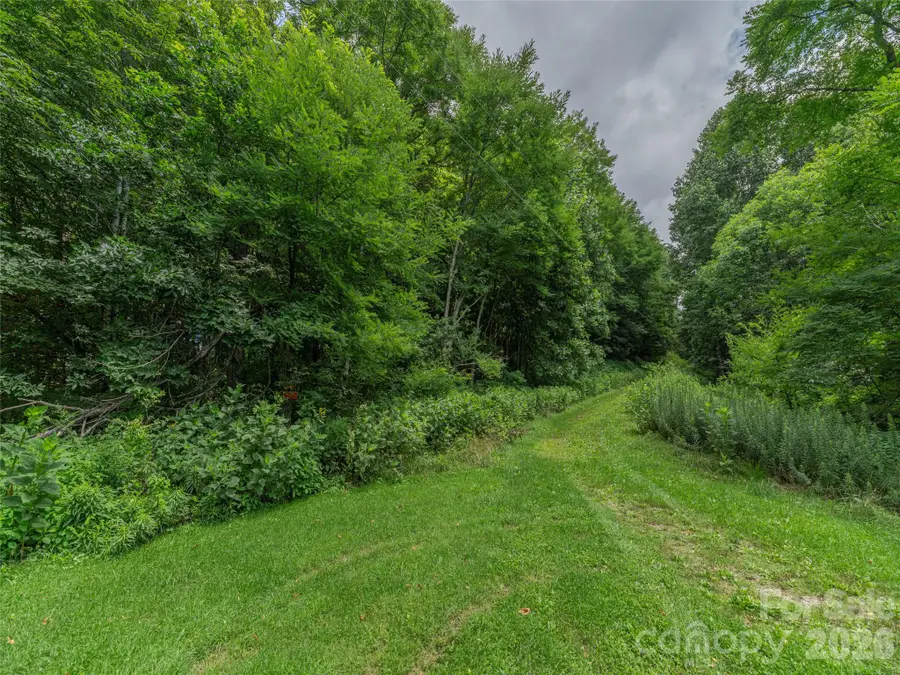 00000 Rough Knob Road, Clyde, NC 28721 - #2
