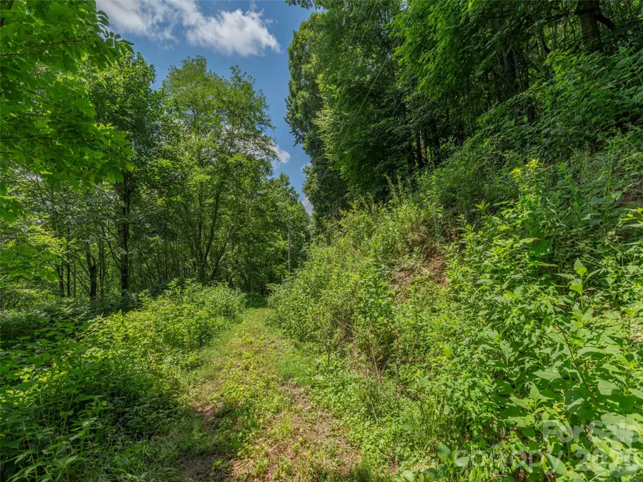 00000 Rough Knob Road, Clyde, NC 28721 - #3