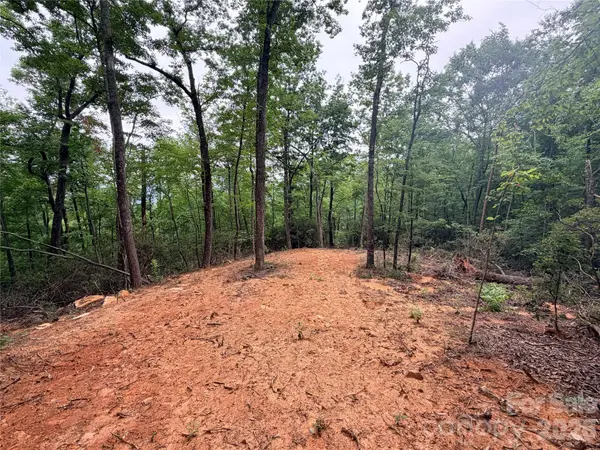 0 Harrison Drive, Lake Lure, NC 28746