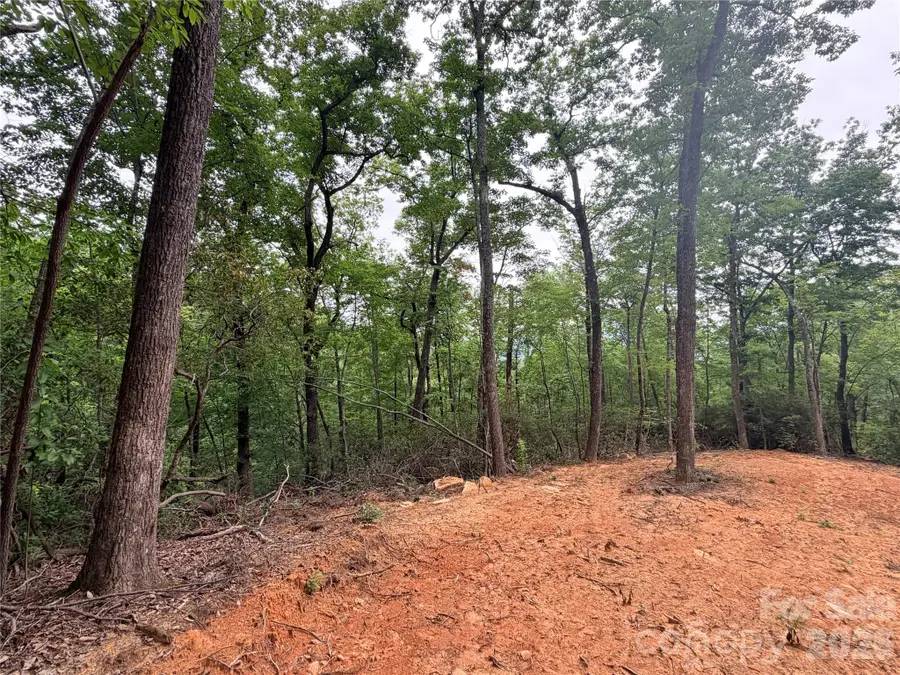 0 Harrison Drive, Lake Lure, NC 28746 - #2