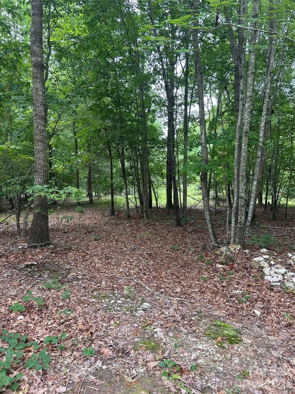 00 Wadeville Road, Mount Gilead, NC 27306 - #1