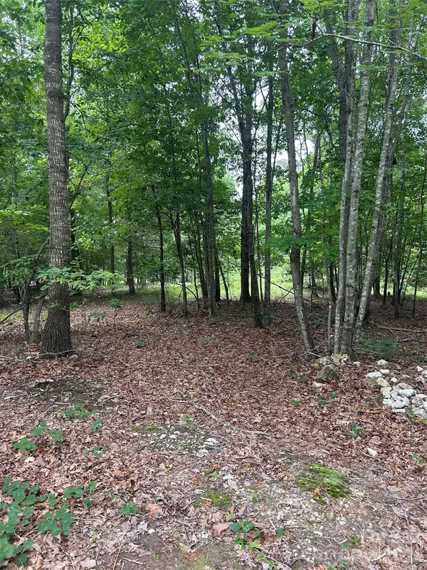 00 Wadeville Road, Mount Gilead, NC 27306
