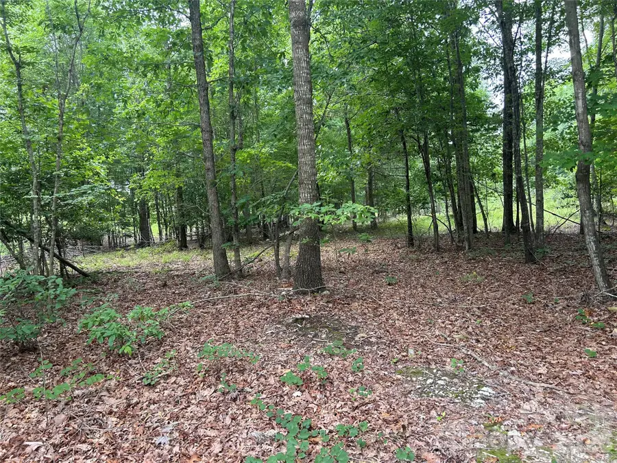 00 Wadeville Road, Mount Gilead, NC 27306 - #2