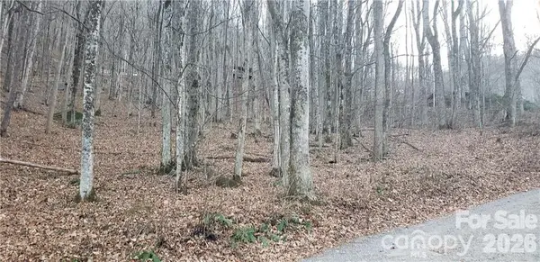 36 Miner Road, Waynesville, NC 28785