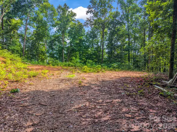 00 Patton Cove Road #6, Swannanoa, NC 28778