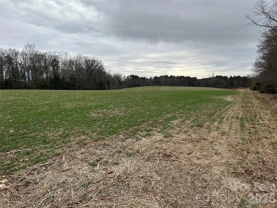 1440 Carl Taylor Road, Peachland, NC 28133 - #2