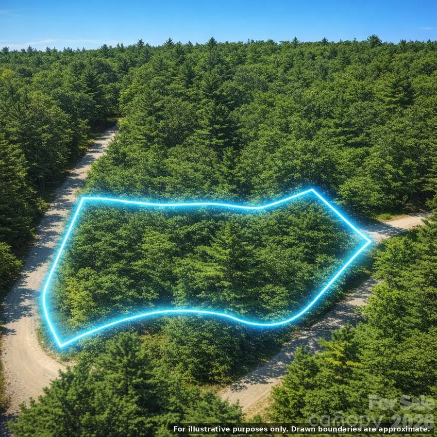Lot 124 Trellis Drive, Nebo, NC 28761 - #2