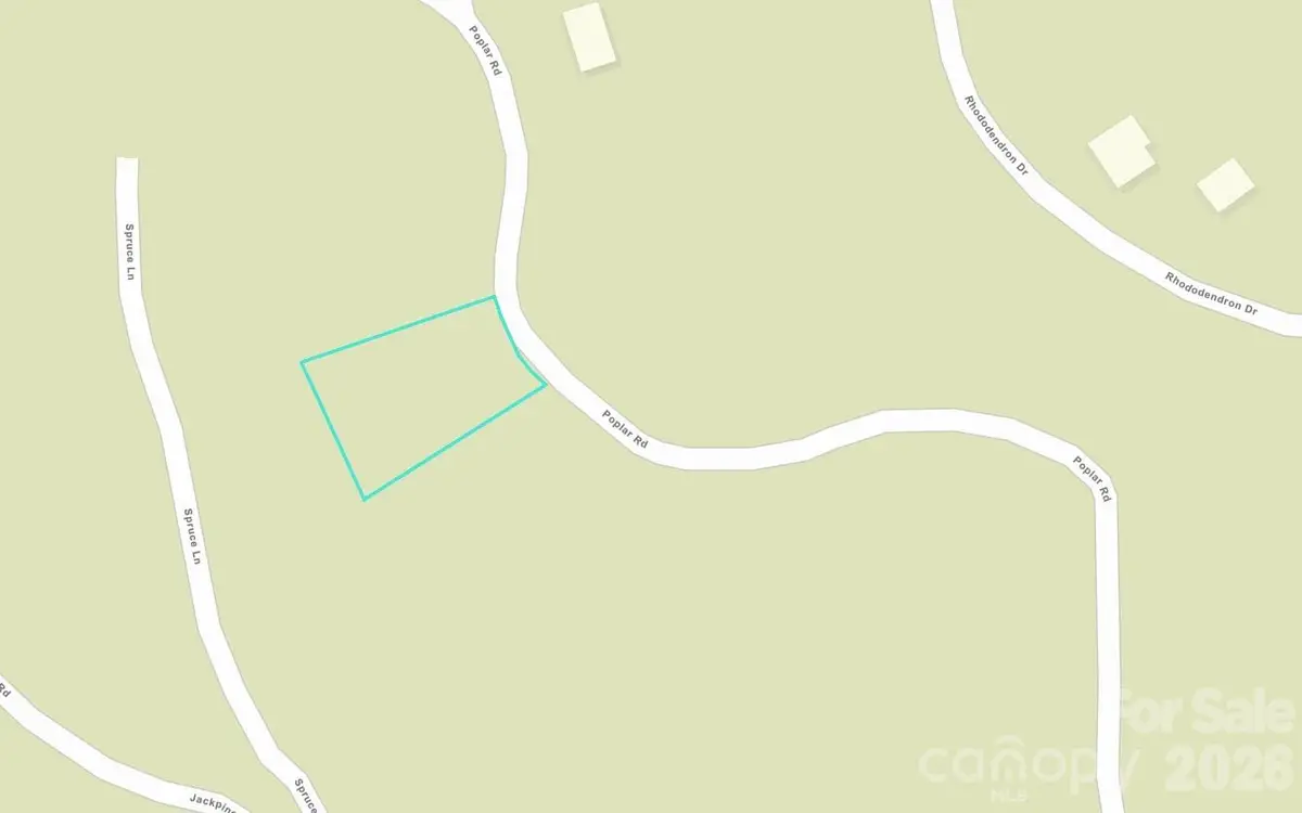 237 Poplar Drive, Beech Mountain, NC 28604 - #1