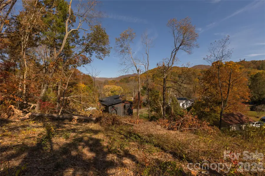13 Bassett Road, Asheville, NC 28804 - #2