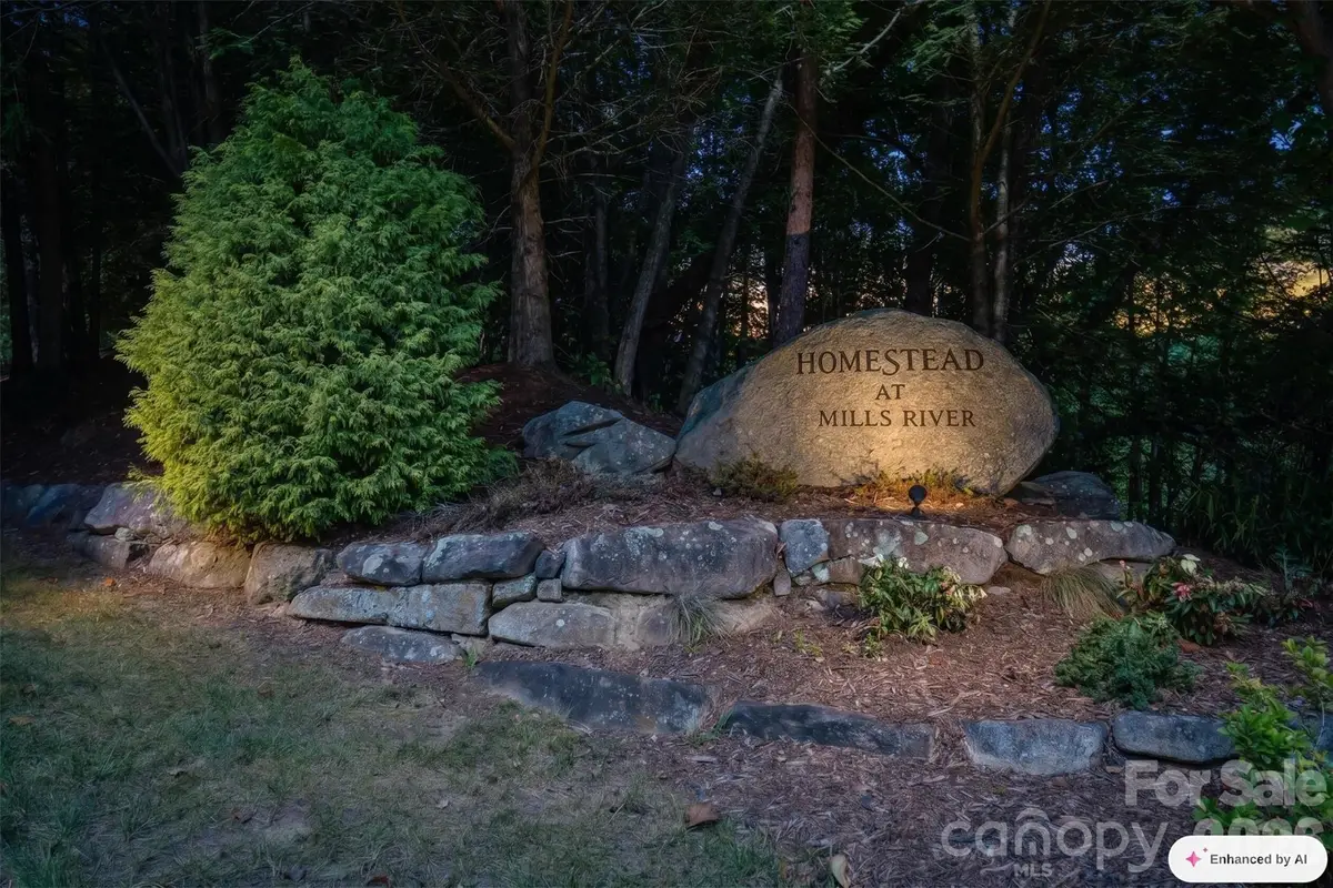 838 Mills River Way, Horse Shoe, NC 28742 - #1