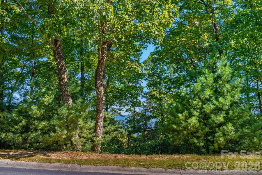 838 Mills River Way, Horse Shoe, NC 28742 - #2