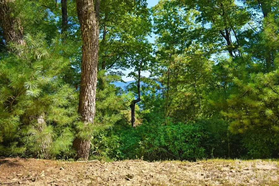838 Mills River Way, Horse Shoe, NC 28742 - #3