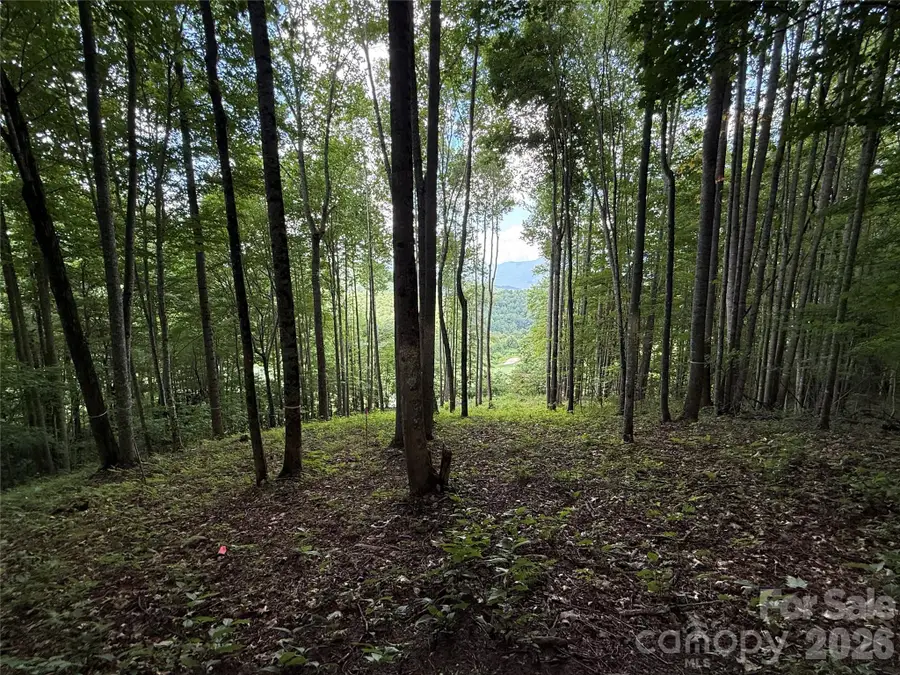 1781 High Line Road #63, Sylva, NC 28779 - #2