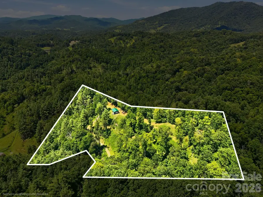 201 Solar Mountain Drive, Green Mountain, NC 28740 - #2